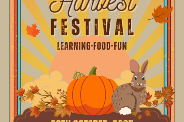 Come to House Rabbit Society's harvest festival this weekend!