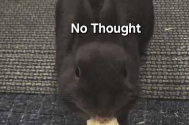It was really cold so when he inevitably ate it too fast he gave himself brainfreeze and then threw a tantrum