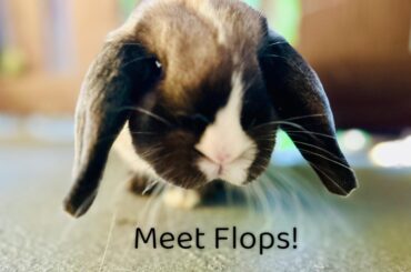 Flops is a character lol