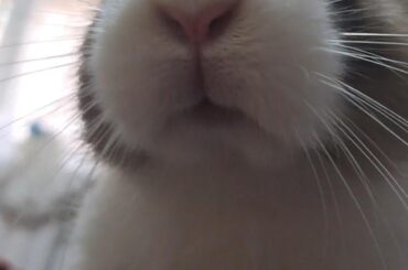 her little pink nose😭