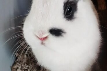 First picture I took of Skye