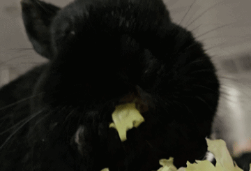 Breakfast!