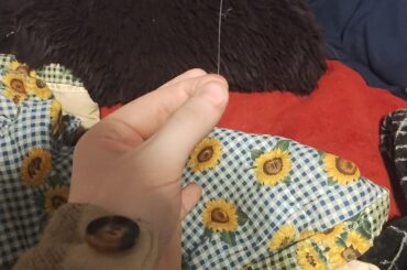 Anybody else get blessed by a Whisker tonight?