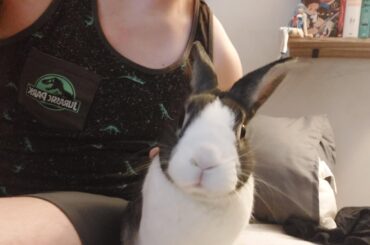 Gluttonous creature stares menacingly at the camera