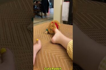 Adorable cute Rabbit #rabbit #bunny #pets #petcare #petvideos #cute #animal #shorts