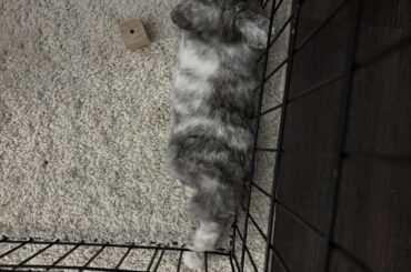 I don’t understand why she likes the corner so much