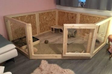 question regarding big cages