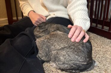 James’ favorite hooman is back!
