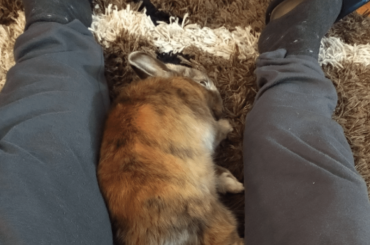 He looks relaxed