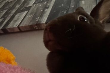 What my food sees over my shoulder