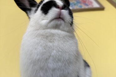 She likes to feel tall