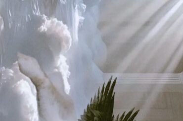 one day i'm gonna grow wings