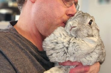 Please send hugs for Miss Maggie, she has a lump (likely a swollen lymph node) in her dewlap which has been causing her eye problem. She is on some medication for it😢