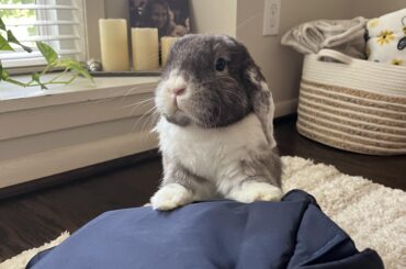 Bonding questions…