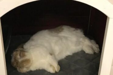 💤 Deep sleep 💤