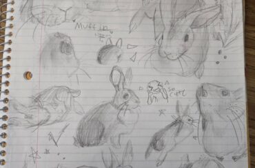 I did some sketches of Muffin in my pre-calc class