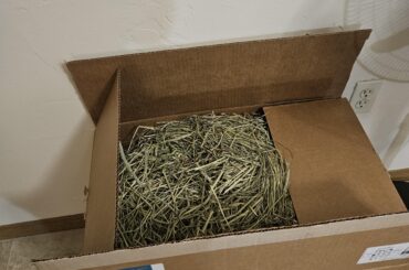 Hay brand i recommend