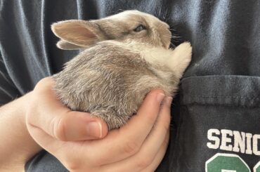 I met my baby boy yesterday