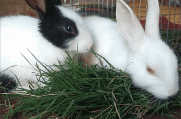 I think look like great for mE