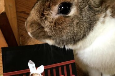 Rest easy sweet Noodles