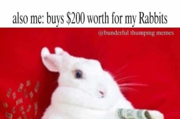 Meeeeee