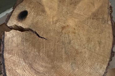 About 10 years ago my grandpa cut a tree down and made this stool for my bunny