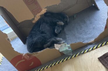 The construction worker is on break