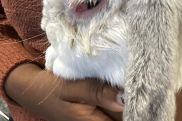 Is this severely infected?
