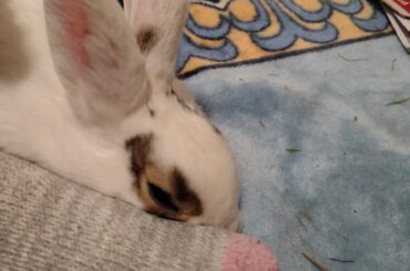 when have u ever snuggled with me are u ok