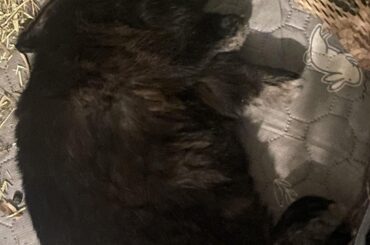 he looks so fat in this pose