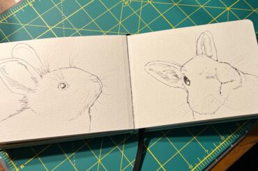 My sketchbook is starting to develop a theme