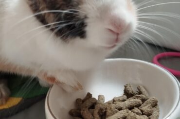 Smiling while eating mouf