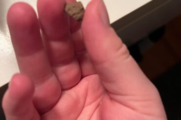 brown rock in bunnies enclosure?