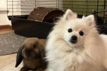 Both waiting for a snacks