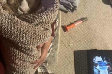 Bunny burrito to fight G stasis