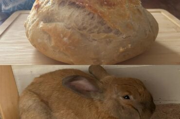 Live , laugh, loaf.