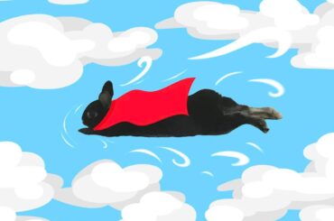 Superbun in the sky🚀