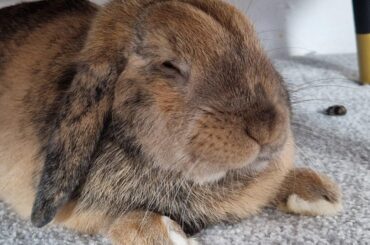 My little baguette ❤️