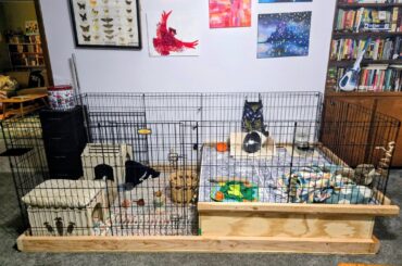 My current bun setup! What do we think?