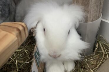 One of my babies