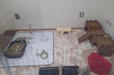 Updated first timer enclosure after/before