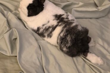 it’s hers now