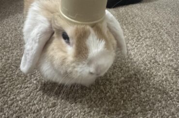 Thinking cap