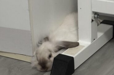 lol he melted
