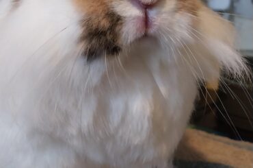 Betty passed her health check