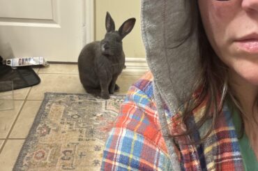 URGENT TEMPORARY FOSTER NEEDED WHILE I GO TO REHAB