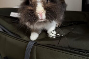 He's not letting the sitters go