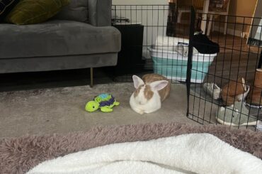 Behold the loaf