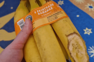 The art and rhe artist