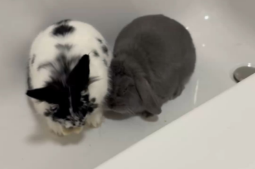 First Bonding Session - thoughts?